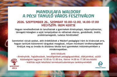 waldorf-pecs-a-x-pecsi-tanulo-varos-fesztivalon